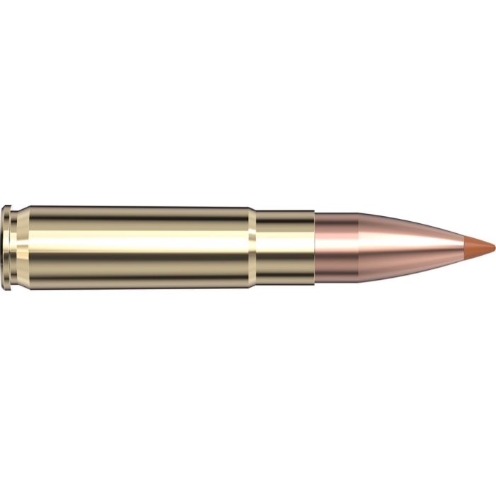 Cartouches 300 Blackout 110 gr NTX® Black x 20 Hornady Cartouches 300 Blackout 110 gr NTX® Black x 20 Hornady