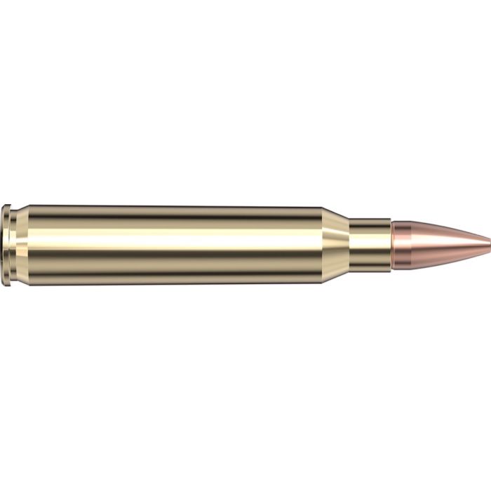Cartouches 5.56 NATO 55 gr. CX™ Superformance® x 20 Hornady