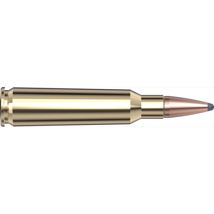 Cartouches 250 Savage 100 gr InterLock® SP Custom x 20 Hornady