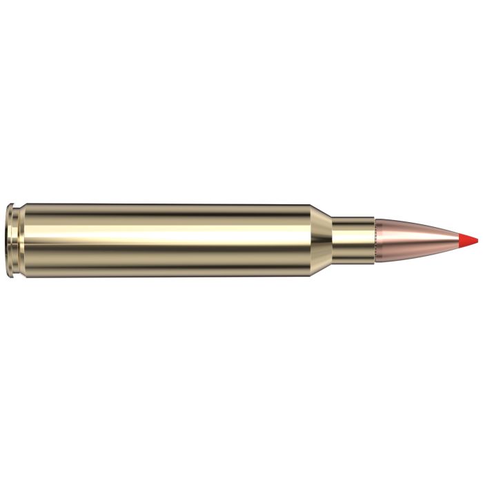 Cartouches 300 PRC 165 gr SST® American Whitetail® TIPPED x 20 Hornady 82163
