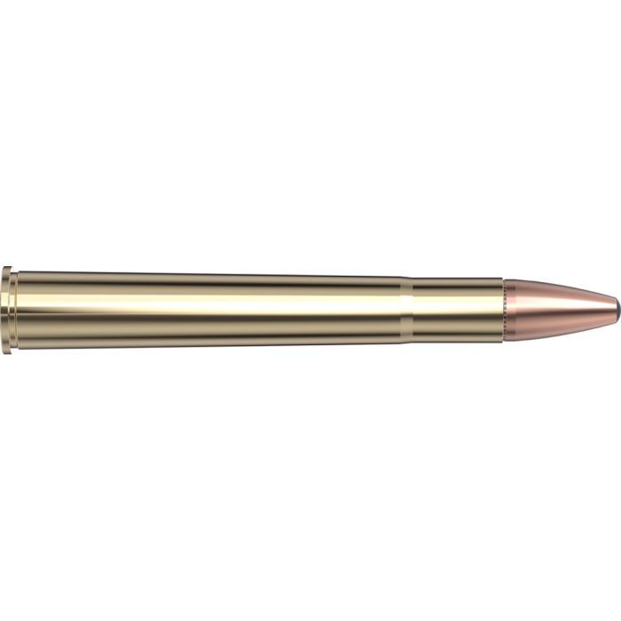 Cartouches 9.3 x 74R 286 gr InterLock® SP-RP  x 20 Hornady