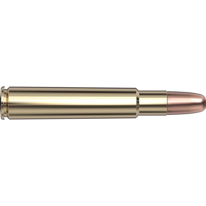 Cartouches 416 Rigby 400 gr DGS® x 20 Hornady