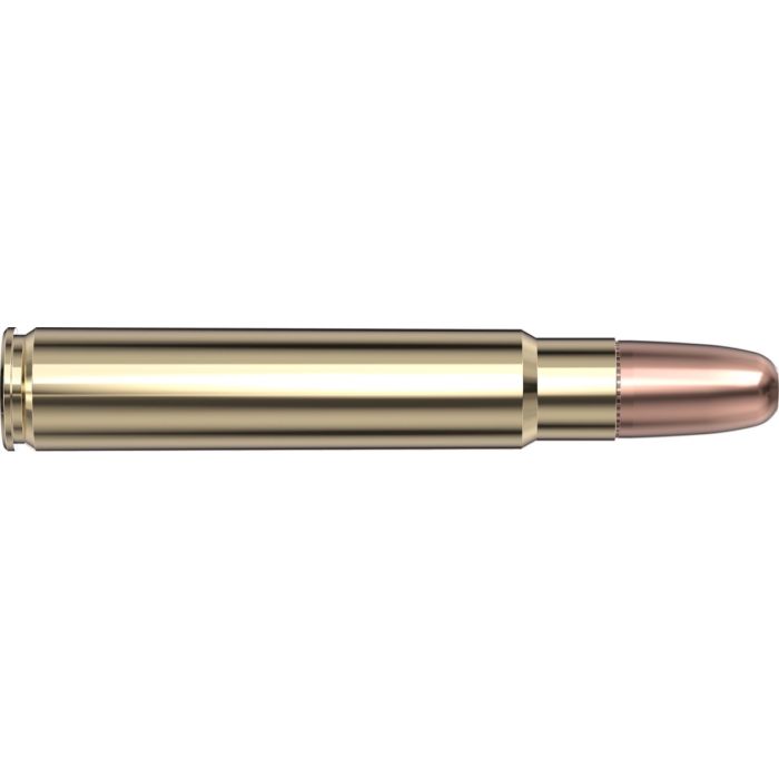 Cartouches 416 Ruger 400 gr DGS® x 20 Hornady Cartouches 416 Ruger 400 gr DGS® x 20 Hornady