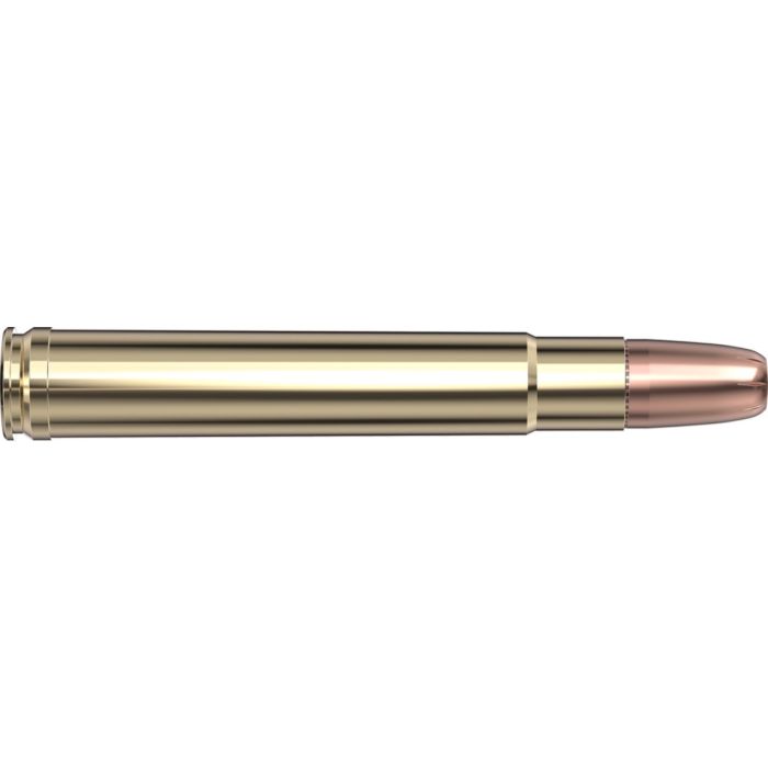 Cartouches 416 Remington 400 gr DGX® Bonded x 20 Hornady