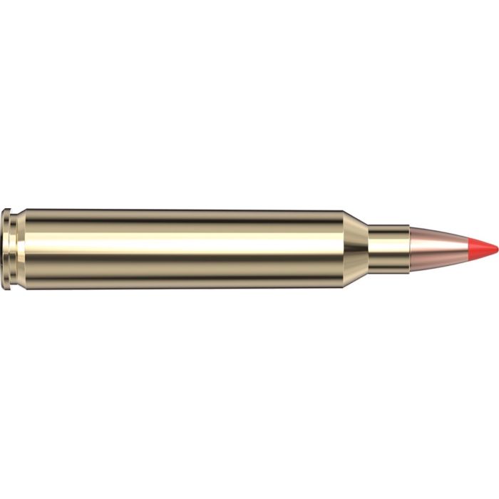 Cartouches 204 Ruger 32 gr V-MAX® Superformance x 20 Hornady Cartouches 204 Ruger 32 gr V-MAX® Superformance x 20 Hornady
