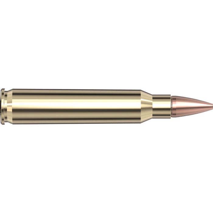 Cartouches 223 Remington 55 gr HP Match Frontier® x 20 Hornady Cartouches 223 Remington 55 gr HP Match Frontier® x 20 Hornady