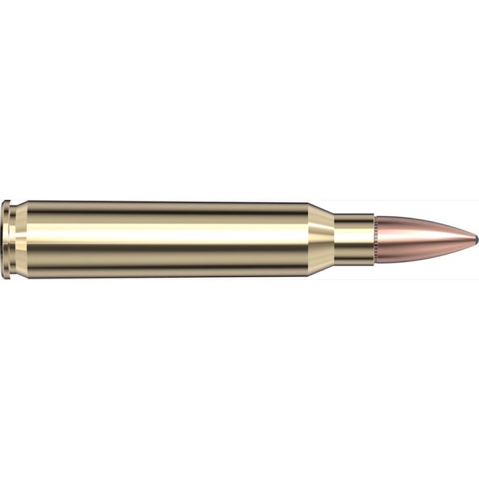 Cartouches 5.56 NATO 55 gr FMJ (M193) Frontier® x 20 Hornady Cartouches 5.56 NATO 55 gr FMJ (M193) Frontier® x 20 Hornady