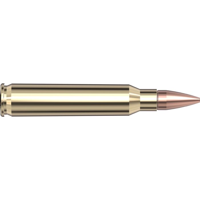 Cartouches 5.56 NATO 75 gr BTHP Match Frontier® x 20 Hornady Cartouches 5.56 NATO 75 gr BTHP Match Frontier® x 20 Hornady