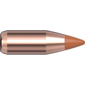 Ogives 17 Cal .172 15.5 gr NTX® x 100 Hornady - sans plombs 17016