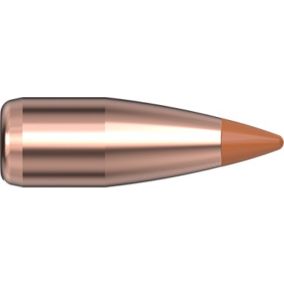 Ogives 20 CAL .204 24 gr NTX® x 100 Hornady - sans plombs 22000