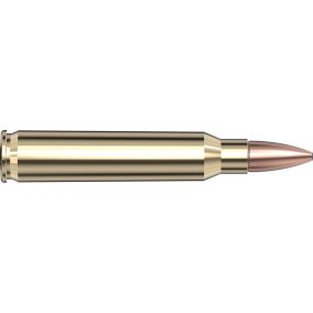 Cartouches 223 Rem 62 gr FMJ Black x 20 Hornady 80234