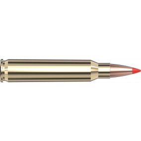 Cartouches 223 Rem 53 gr V-MAX® Superformance® x 20 Hornady 8025