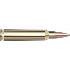 Cartouches 223 Rem 75 gr BTHP Match  x 20 Hornady 8026