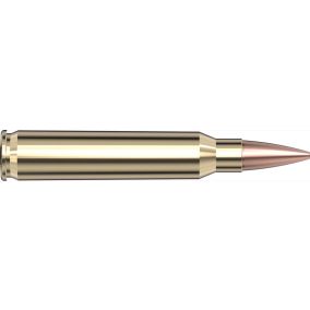 Cartouches 223 Rem 75 gr BTHP Match Black x 20 Hornady 80267