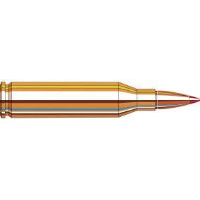 Cartouches 243 Win 80 gr GMX® Superformance® International x 20 Hornady 80458