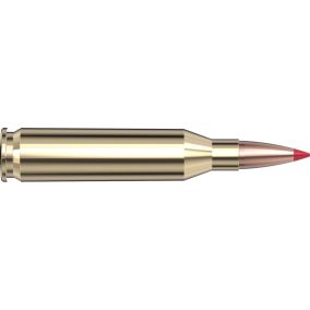 Cartouches 243 Win 90 gr ELD-X® Precision Hunter x 20 Hornady 80462