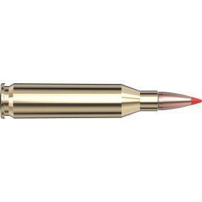 Cartouches 243 Win 95 gr SST® Superformance® x 20 Hornady 80463