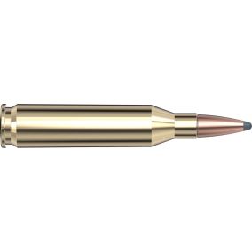 Cartouches 243 Win 100 gr InterLock® BTSP American Whitetail® x 20 Hornady 8047