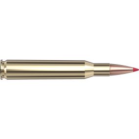 Cartouches 270 Win 130 gr. CX™ Superformance® x 20 Hornady 80524