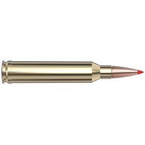 Cartouches 7mm Rem Mag 154 gr SST® American Whitetail® TIPPED x 20 Hornady 80601