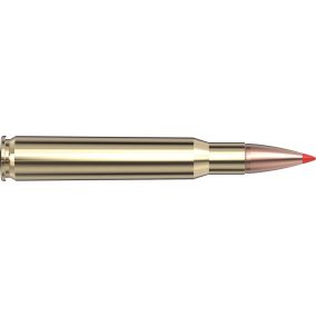 Cartouches 30-06 Springfield 180 gr SST&reg; Superformance&reg; x 20 Hornady 81183