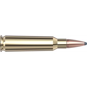 Cartouches 250 Savage 100 gr InterLock® SP Custom x 20 Hornady 8132