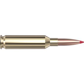 Cartouches 6mm Creedmoor 103 gr ELD-X® Precision Hunter x 20 Hornady 81392