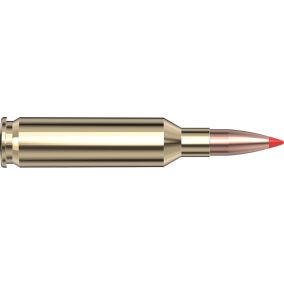 Cartouches 6mm Creedmoor 87 gr V-MAX® x 20 Hornady 81393