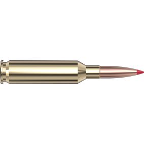 Cartouches 6mm Creedmoor 90 gr. CX™ Superformance® x 20 Hornady - sans plombs 813944