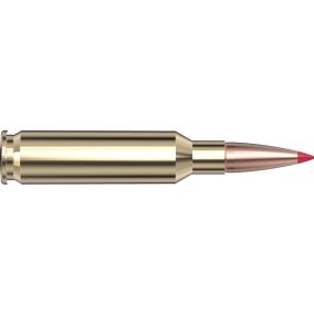 Cartouches 6.5 Creedmoor 120 gr. CX™ Superformance® x 20 Hornady - sans plombs 814904