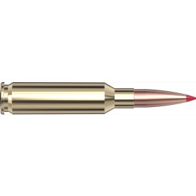 Cartouches 6.5 Creedmoor 143 gr ELD-X® Precision Hunter x 20 Hornady 81499