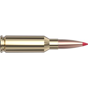 Cartouches 6mm ARC 103 gr ELD-X® Precision Hunter x 20 Hornady 81602