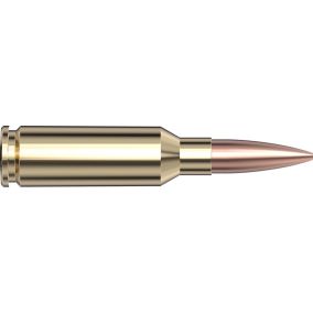 Cartouches 6mm ARC 105 gr BTHP BLACK® x 20 Hornady 81604