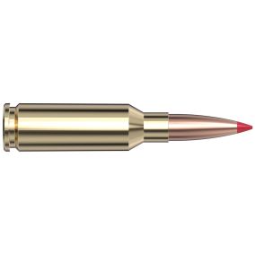 Cartouches 6mm ARC 90 gr CX® Custom™  x 20 Hornady 81612