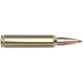 Cartouches 300 PRC 165 gr SST® American Whitetail® TIPPED x 20 Hornady 82163