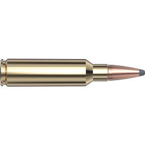 Cartouches 300 WSM 165 gr InterLock® SP American Whitetail® x 20 Hornady 82204