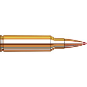 Cartouches 300 RCM 180 gr SST® Superformance® x 20 Hornady 82235