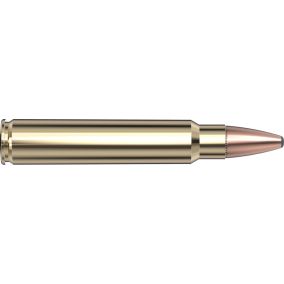 Cartouches 375 Ruger 270 gr SP-RP Superformance® x 20 Hornady 8231