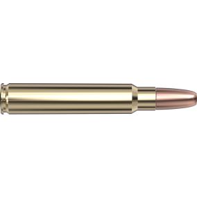 Cartouches 375 Ruger 300 gr DGS® Superformance® SP-RP x 20 Hornady 8232