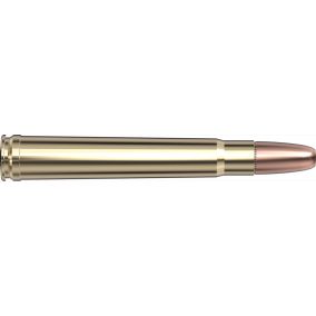 Cartouches 375 H&H 300 gr DGS® x 20 Hornady 82322