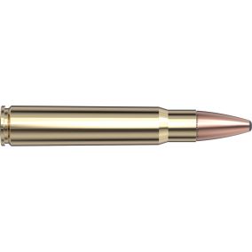 Cartouches 376 Steyr 270 gr InterLock® SP-RP  x 20 Hornady 8237