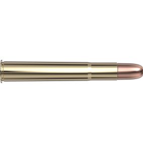 Cartouches 470 Nitro Express 500 gr DGS®  x 20 Hornady 8264