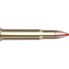 Cartouches 32 Win Special 165 gr FTX® LEVERevolution®  x 20 Hornady 82732
