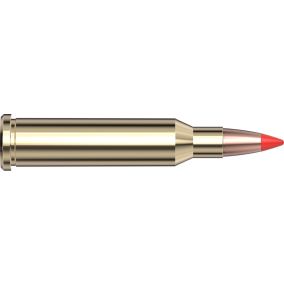 Cartouches 17 Hornet 20 gr V-MAX® Superformance® Varmint x 25 Hornady 83005