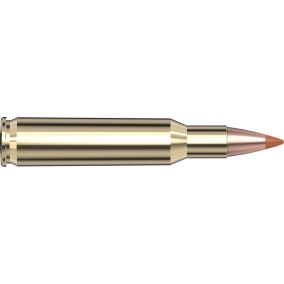 Cartouches 222 Rem 35 gr NTX Superformance® x 20 Hornady - sans plombs 8309