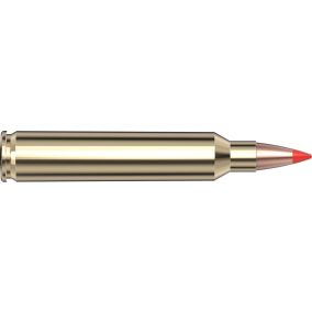 Cartouches 204 Ruger 32 gr V-MAX® Superformance x 20 Hornady