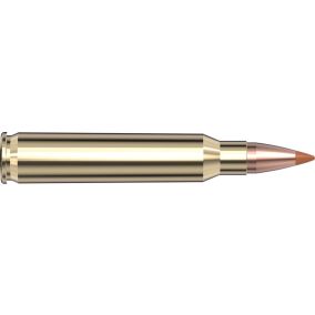 Cartouches 223 Rem 35 gr NTX® Superformance® x 20 Hornady - sans plombs 83266