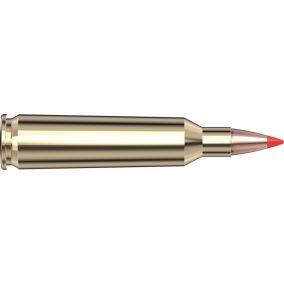 Cartouches 22-250 Rem 50 gr V-MAX® x 20 Hornady 8336