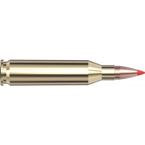 Cartouches 243 Win 75 gr V-MAX® Superformance® Varmint  x 20 Hornady 83433