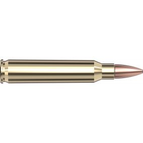 Cartouches 223 Rem 55 gr FMJ Frontier® x 20 Hornady FR100